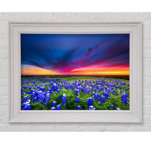 Vibrant Skies Above Blue Flowers - Single Picture Frame Art Prints Ebern Designs Size: 59.7cm H x 84.1cm W x 8cm D on Productcaster.