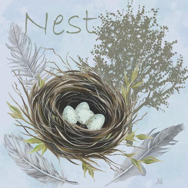 Nesting Collection I by Jade Reynolds - Wrapped Canvas Print Rosalind Wheeler Size: 76cm H x 76cm W on Productcaster.