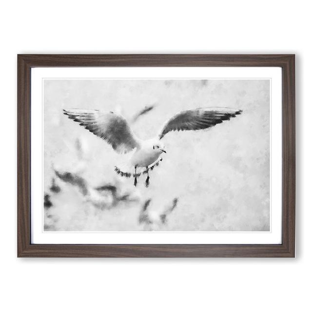 Seagull Birds - Picture Frame Graphic Art East Urban Home Size: 27cm H x 36cm W x 2cm D, Frame Option: Walnut Framed on Productcaster.