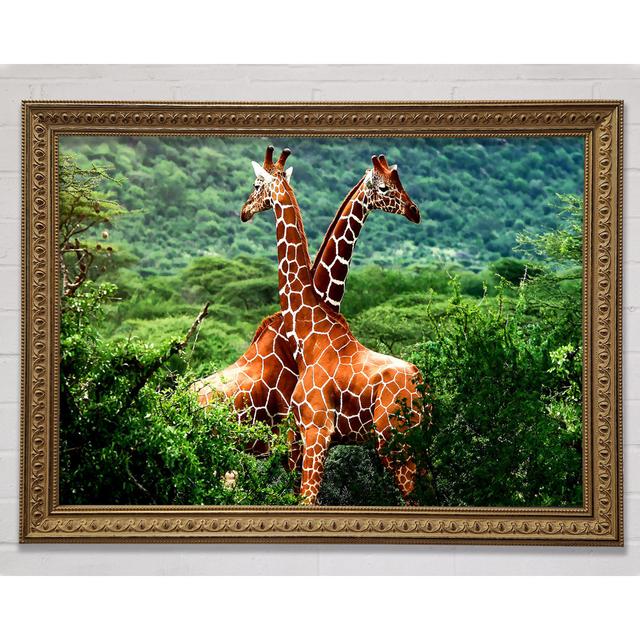 Giraffen Afrika - Druck Brayden Studio Größe: 100 cm H x 141,4 cm B on Productcaster.