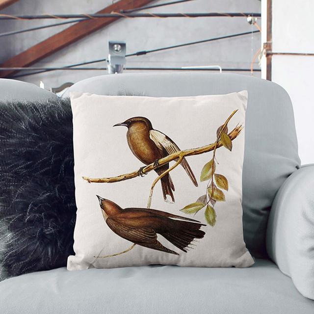 Breasted Wood Swallows by Elizabeth Gould Cushion with Filling East Urban Home Size: 40cm H x 40cm W x 15cm D, Backing Colour: Black on Productcaster.