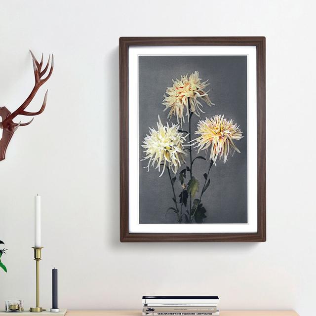 Three Chrysanthemums by Ogawa Kazumasa - Picture Frame Painting Print East Urban Home Size: 65cm H x 48cm W x 2cm D, Frame Option: Walnut Framed on Productcaster.