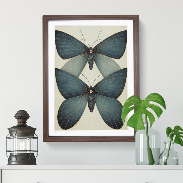 Splendid Butterflies - Single Picture Frame Print Brambly Cottage Size: 46cm H x 34cm W x 2cm D, Frame Colour: Walnut Framed on Productcaster.