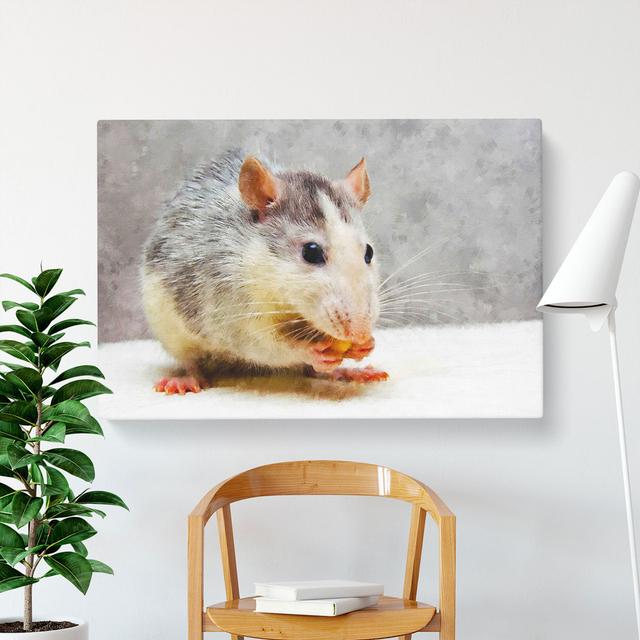 Rat - Wrapped Canvas Print East Urban Home Size: 50cm H x 76cm W x 3cm D on Productcaster.