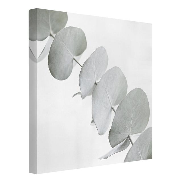 Eucalyptus Branch in White Light by Monika Strigel - Wrapped Canvas Graphic Art Ebern Designs Size: 60cm H x 60cm W, Format: 330g/m² recycled canvas on Productcaster.