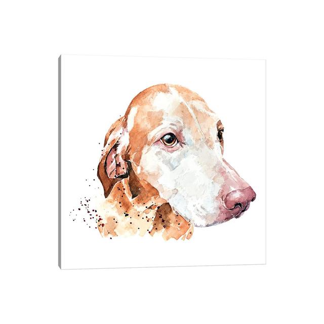 Sugar Face Vizsla by EdsWatercolours - Wrapped Canvas Painting ClassicLiving Size: 45.72cm H x 45.72cm W x 1.91cm D on Productcaster.