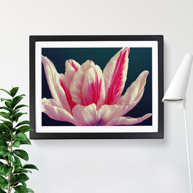 Wild Flower - Picture Frame Graphic Art 17 Stories Size: 25cm H x 34cm W x 2cm D, Format: Black Framed on Productcaster.