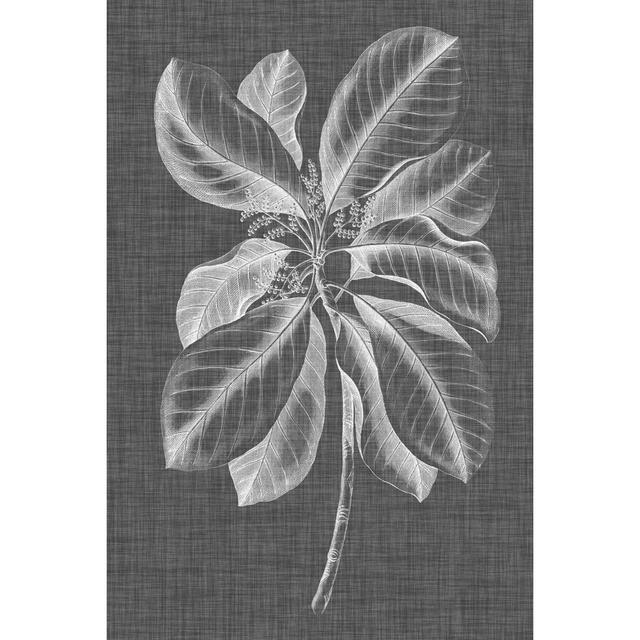 Graphic Foliage II - Wrapped Canvas Print August Grove Size: 76cm H x 51cm W x 3.8cm D on Productcaster.