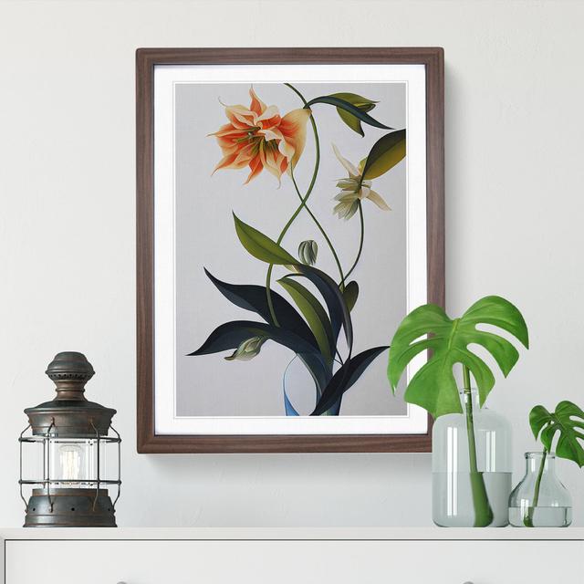 Flower Portrait No.2 - Picture Frame Graphic Art Marlow Home Co. Frame Colour: Walnut, Size: 46cm H x 34cm W on Productcaster.