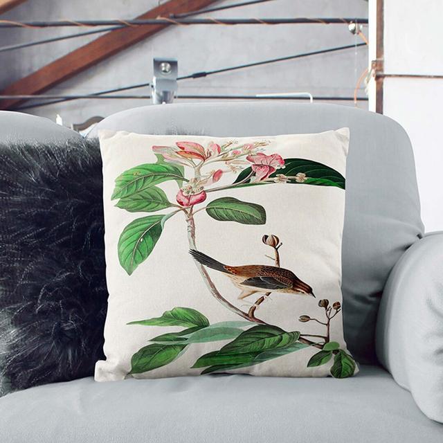 Bachmans Finch by John James Audubon Cushion with Filling East Urban Home Size: 55 x 55 cm, Backing Colour: Black on Productcaster.