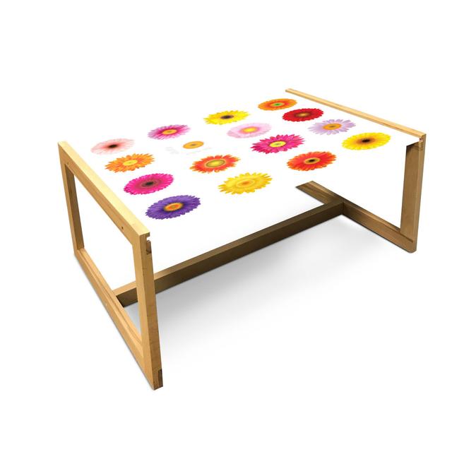 Gerber Daisy Coffee Table, Various Colorful Petals On Plain Backdrop Summer Flora Romance Print, Acrylic Glass Center Table With Wooden Frame For Offi on Productcaster.