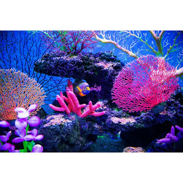 Coral reef on the ocean floor House of Hampton Size: 30cm H x 46cm W on Productcaster.