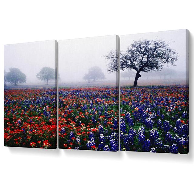 Field of Flowers in the Morning Mist - 3 Piece Wrapped Canvas Graphic Art Ebern Designs Size: 101.6cm H x 203cm W on Productcaster.