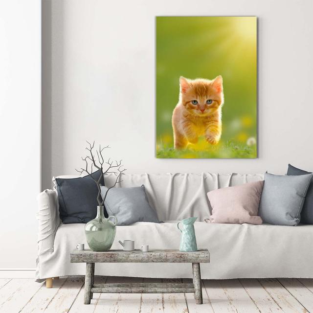 Red Cat - Wrapped Canvas Art Prints Brayden Studio on Productcaster.