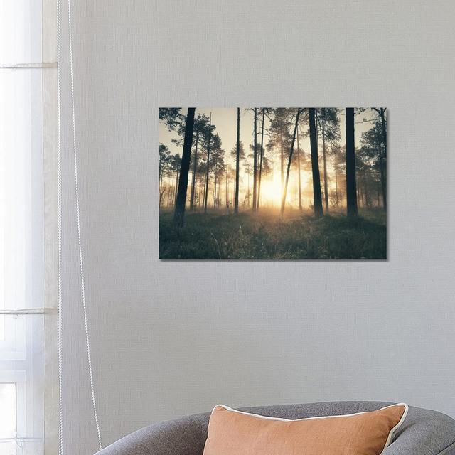 The Secret Forest by Andreas Stridsberg - Wrapped Canvas Print Alpen Home Size: 45.72cm H x 66.04cm W x 3.81cm D on Productcaster.