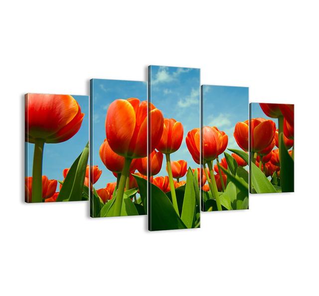 Apart from the Blue Sky, They Don't Need Anything in Life - 5 Piece Unframed Photograph Print Set on Canvas Brayden Studio Size: 100cm H x 150cm W x 1 on Productcaster.