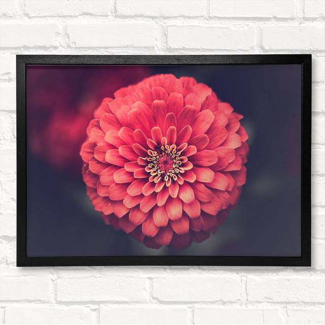 Circular Flower Perfectly Balanced - Closed Corner Frame Art Prints on Wood Latitude Run Size: 42cm H x 59.7cm W on Productcaster.