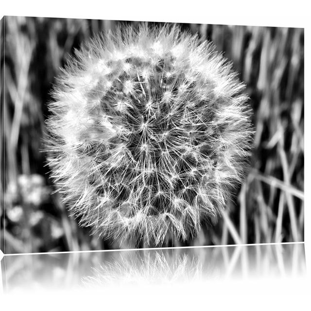 Leinwandbild Klassische Pusteblume in Monochrom East Urban Home Größe: 70 cm H x 100 cm B on Productcaster.