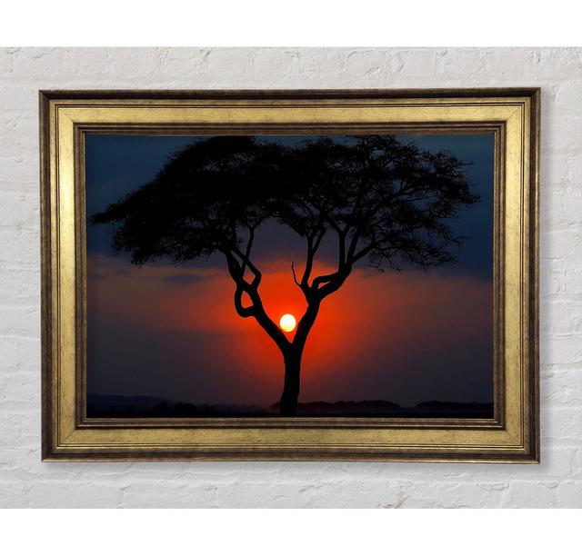 Beautiful Red Sunset Between The Tree - Print Bright Star Size: 59.7cm H x 84.1cm W x 8cm D on Productcaster.