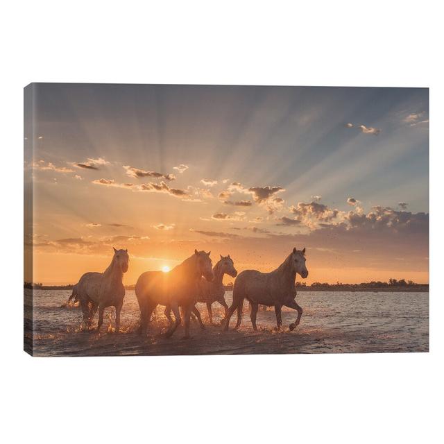 White Angels Of Camargue XXXVIII - Wrapped Canvas Print East Urban Home Size: 45.72cm H x 66.04cm W x 1.91cm D on Productcaster.