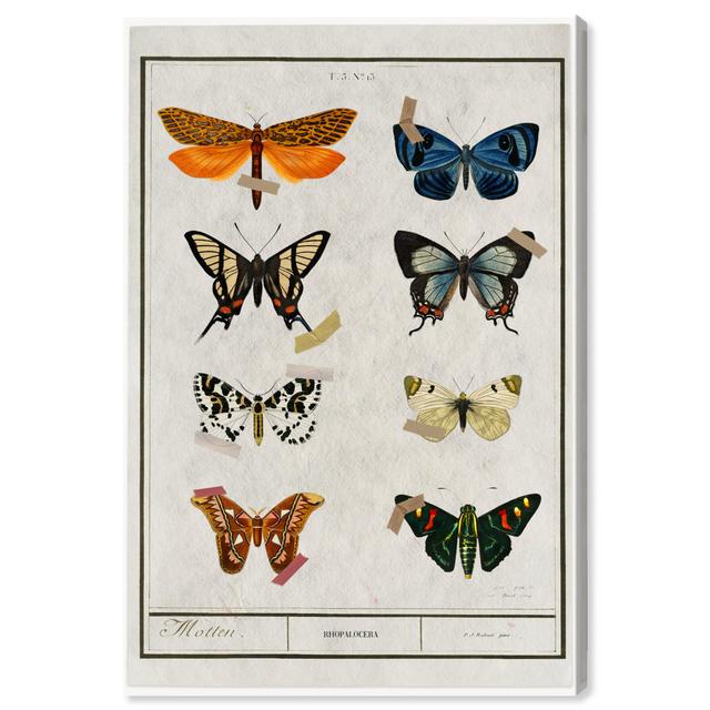 Animals Colorful Wings Collection, Cabin / Lodge Blue And White Canvas Wall Art Print For Office Oliver Gal Size: 38.1cm H x 25.4cm W x 4.45cm D, Form on Productcaster.