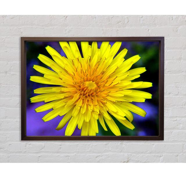 Wildflower - Print Bright Star Size: 84.1cm H x 118.9cm W x 3.3cm D on Productcaster.