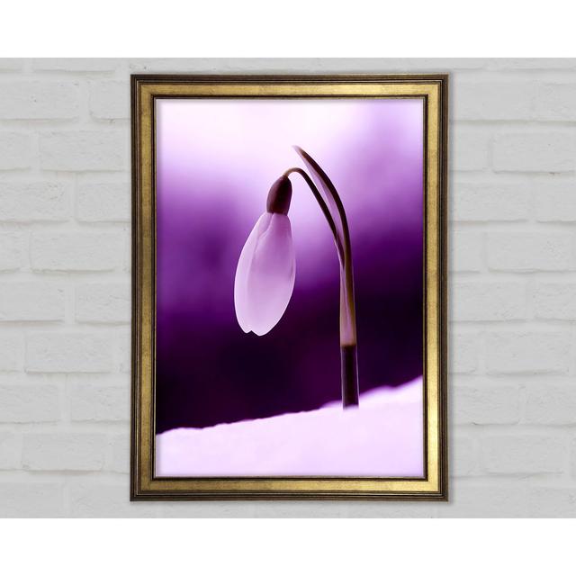 Purple Snowdrop - Print Ebern Designs Size: 84.1cm H x 59.7cm W x 1.5cm D on Productcaster.