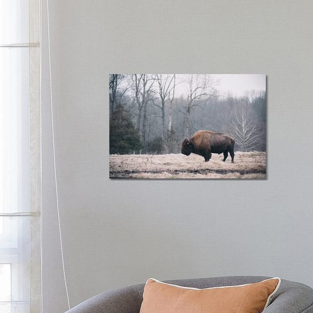 Solitary Bison I by Adam Mead - Wrapped Canvas Photograph Alpen Home Size: 45.72cm H x 66.04cm W x 3.81cm D on Productcaster.