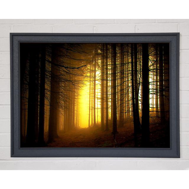 Single Picture Frame Art Prints Union Rustic Size: 84.1cm H x 118.9cm W on Productcaster.