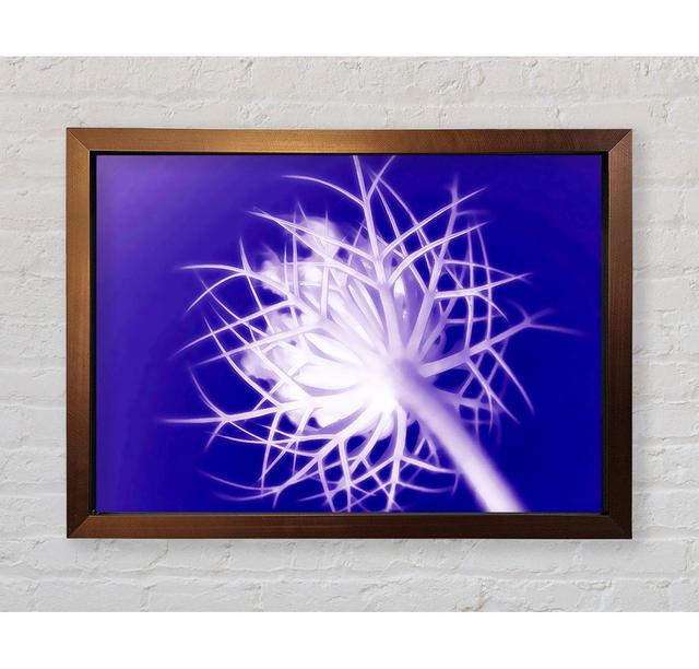 Purple Thorns - Single Picture Frame Art Prints Ebern Designs Size: 100cm H x 141.4cm W x 3.4cm D on Productcaster.