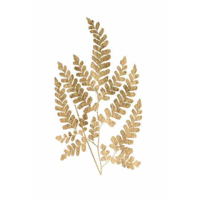 Graphic Gold Fern II by Studio W - Wrapped Canvas Graphic Art Pergo Classics Size: 30cm H x 20cm W x 3.8cm D on Productcaster.