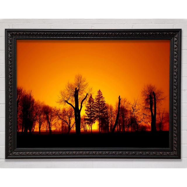 The Forest Aglow - Single Picture Frame Art Prints Bright Star Size: 84.1cm H x 118.9cm W x 3cm D on Productcaster.