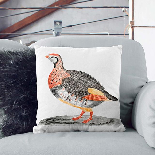 A Partridge by Johan Teyler Cushion with Filling East Urban Home Size: 55 x 55 cm, Backing Colour: White on Productcaster.