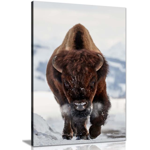 Panther Print Fine Art Prints Running Brown Bison in Wildlife Artistic Framed Canvas Prints, Pictures for Home Walls, Bedroom, Living Room and Bathroo on Productcaster.