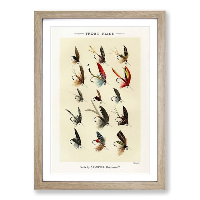 Trout Fishing Flies Version 3 by Mary Orvis Marbury - Picture Frame Painting Print East Urban Home Frame Option: Oak, Size: 60cm H x 40cm W x 2cm D on Productcaster.