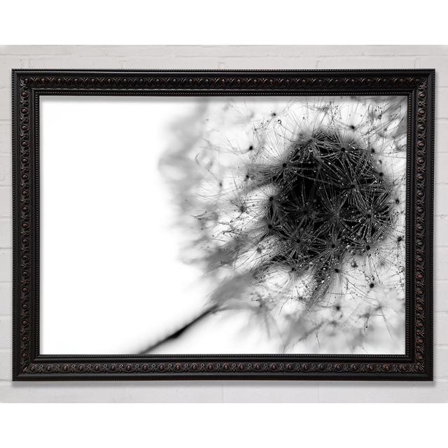 Dewdrop Heaven - Single Picture Frame Art Prints Bright Star Size: 29.7cm H x 42cm W on Productcaster.