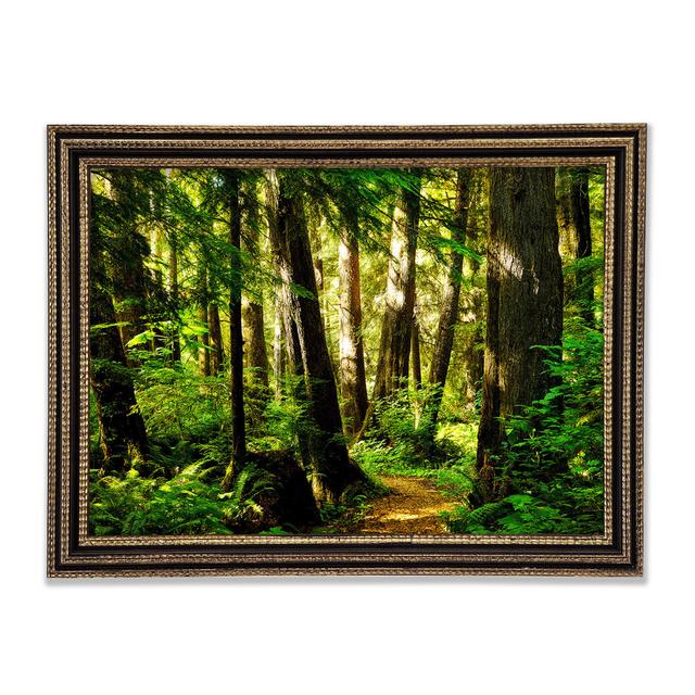 Sunbeam Woodland - Single Picture Frame Art Prints Union Rustic Size: 59.7cm H x 84.1cm W x 3cm D, Format: Black Framed Wood on Productcaster.