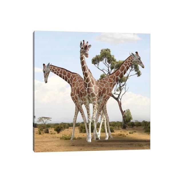 Giraffes Happy Larry Size: 45.72cm H x 45.72cm W x 3.81cm D on Productcaster.