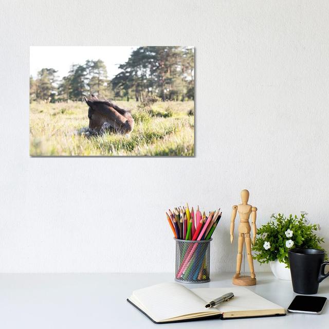 Bonding by Andrew Lever - Wrapped Canvas Panoramic Photograph Gracie Oaks Size: 40.64cm H x 121.92cm W x 3.81 D on Productcaster.