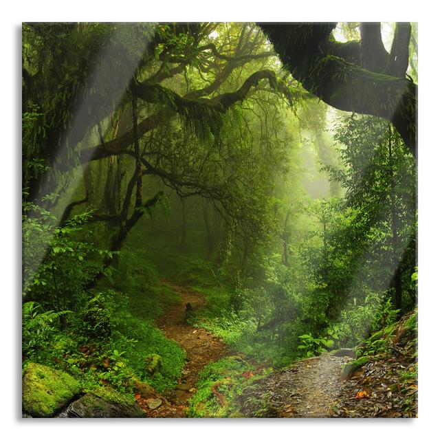 Mystical Rainforest - No Frame Print on Glass Union Rustic Size: 70cm H x 70cm W x 0.4cm D on Productcaster.