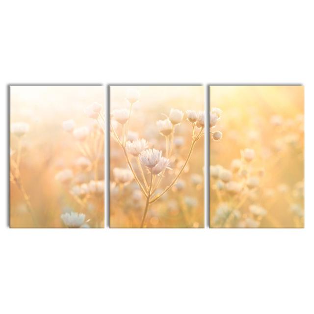 3-tlg. Leinwandbilder-Set Romantic Flower Meadow East Urban Home Größe: 240 cm H x 120 cm B x 2,4 cm T on Productcaster.