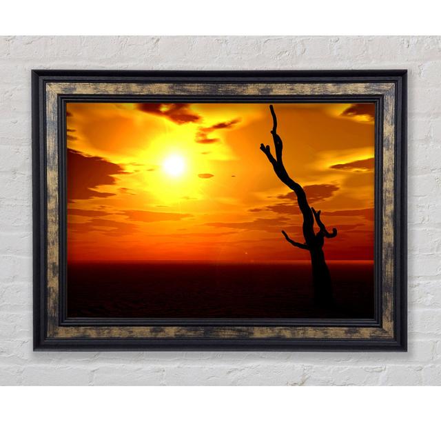 Tree Of The Desert Sun Framed Print Bright Star Size: 42cm H x 59.7cm W on Productcaster.