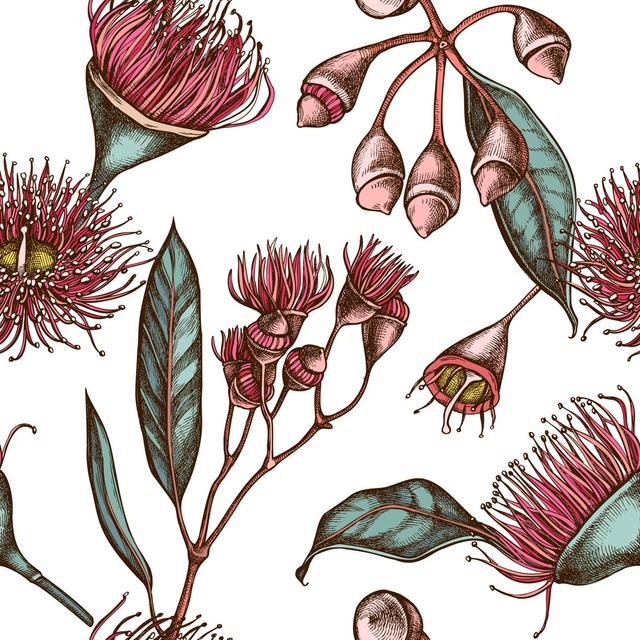 Eucalyptus Flower by Alisa Pravotorova - Wrapped Canvas Print ClassicLiving Size: 76cm H x 76cm W on Productcaster.