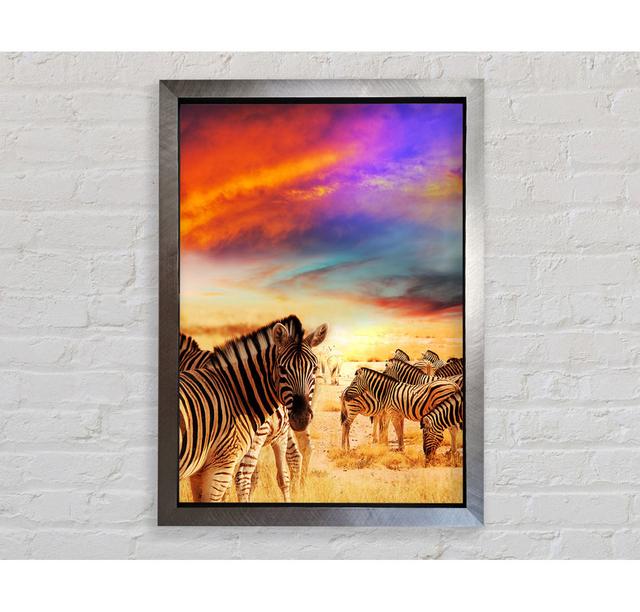 Poster Stunning Zebra Skies Bright Star Größe: 84,1 cm H x 59,7 cm B x 3,4 cm T on Productcaster.