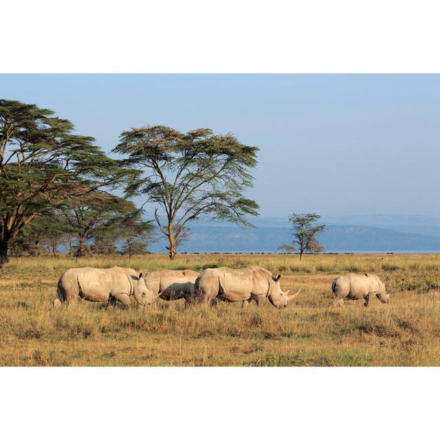 Bronn Rhinoceros in Kenya - Wrapped Canvas Photograph Latitude Run Size: 51cm H x 76cm W x 3.8cm D on Productcaster.