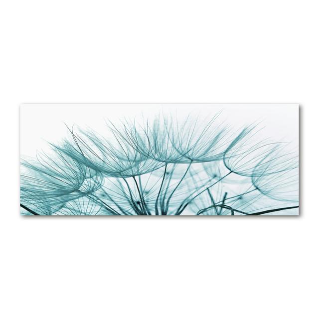 Dandelion Seeds - Print Ebern Designs Format: Canvas, Size: 50cm H x 125cm W x 2cm D on Productcaster.