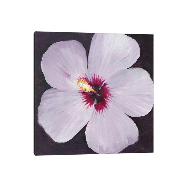 Hibiscus Portrait I by Tim OToole - Wrapped Canvas Gallery-Wrapped Canvas Giclée Ophelia & Co. Size: 45.72cm H x 45.72cm W x 3.81cm D on Productcaster.