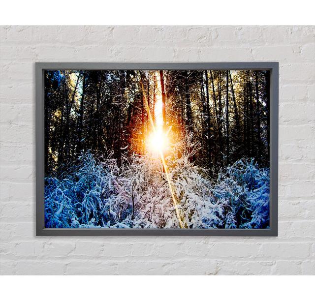 Sunlight Through Trees Winter - Single Picture Frame Art Prints on Canvas Union Rustic Size: 100cm H x 141.4cm W x 3.3cm D on Productcaster.