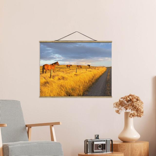 Field Road and Horses in the Evening Sun - Graphic Art Print Fabric August Grove Size: 37.5cm H x 50cm W x 0.3cm D on Productcaster.