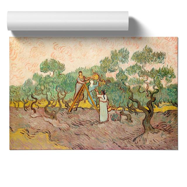 2590_Women Picking Olives By Vincent Van Gogh East Urban Home Size: 21cm H x 30cm W x 0.1cm D on Productcaster.